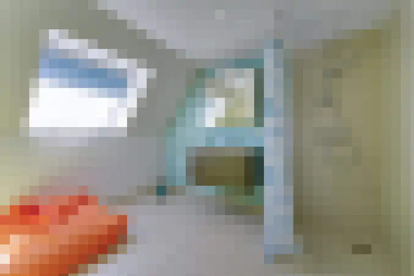Zwanebloem 16 Cadzand thumbnail 20