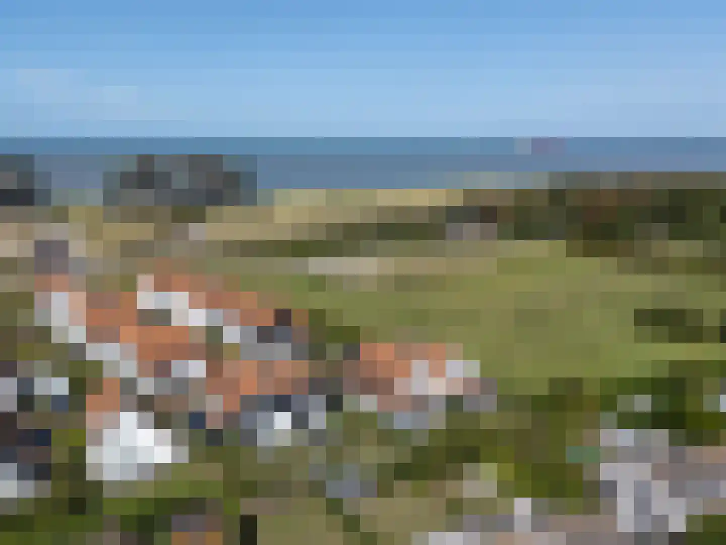 Zwanebloem 16 Cadzand thumbnail 27
