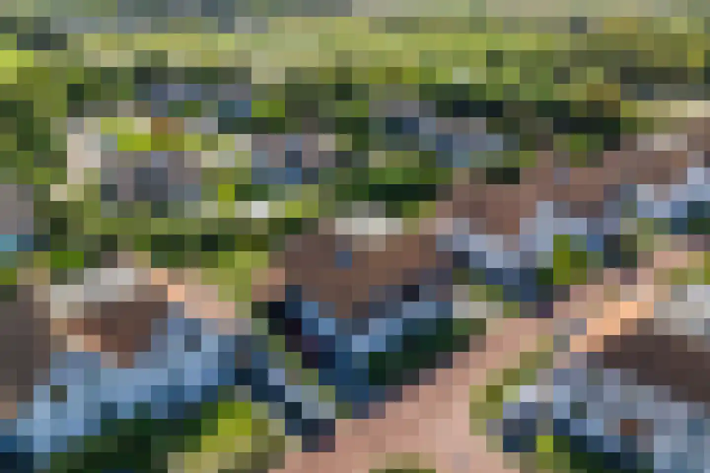 Zwanebloem 16 Cadzand thumbnail 28