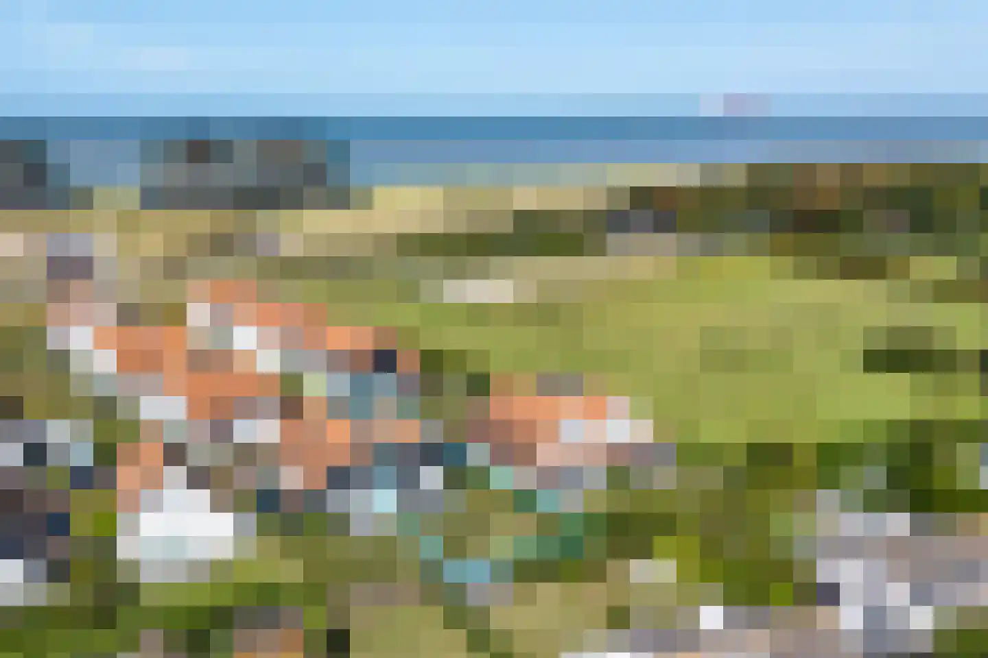 Zwanebloem 16 Cadzand thumbnail 7