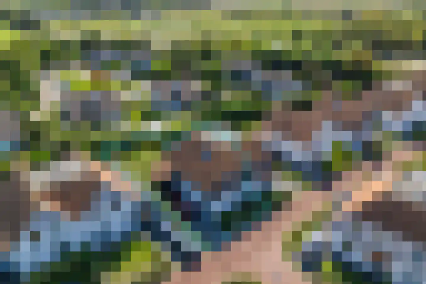Zwanebloem 16 Cadzand thumbnail 8