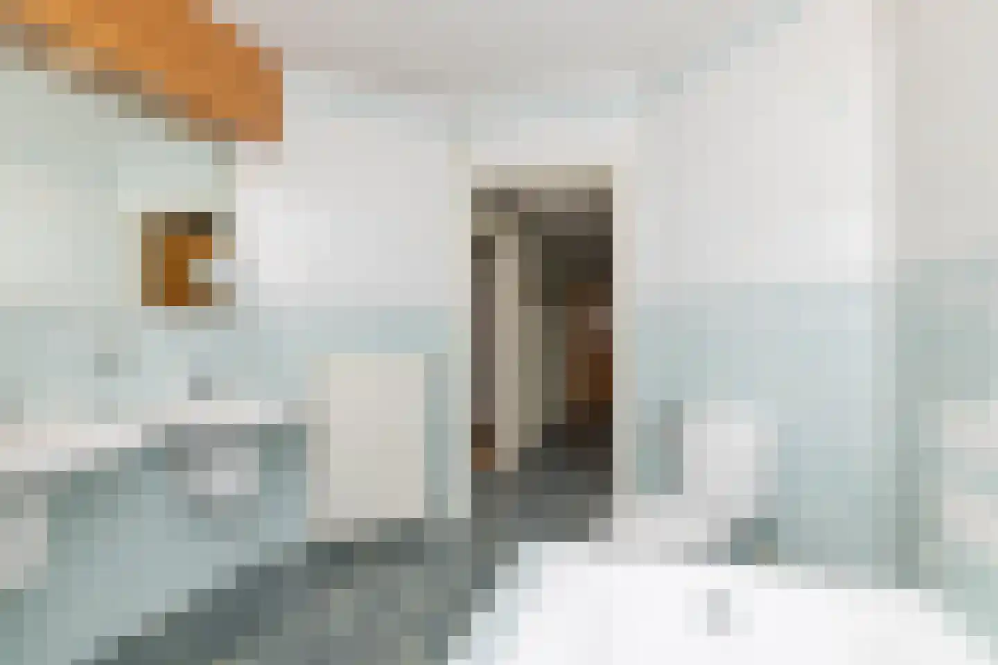 Zwanebloem 16 Hoogeveen thumbnail 36