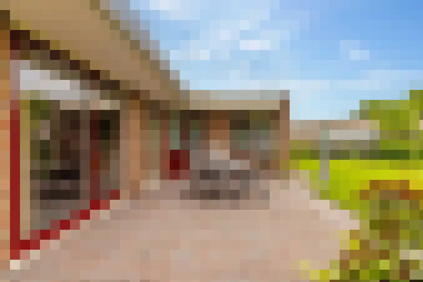 Zwanebloem 16 Hoogeveen thumbnail 40