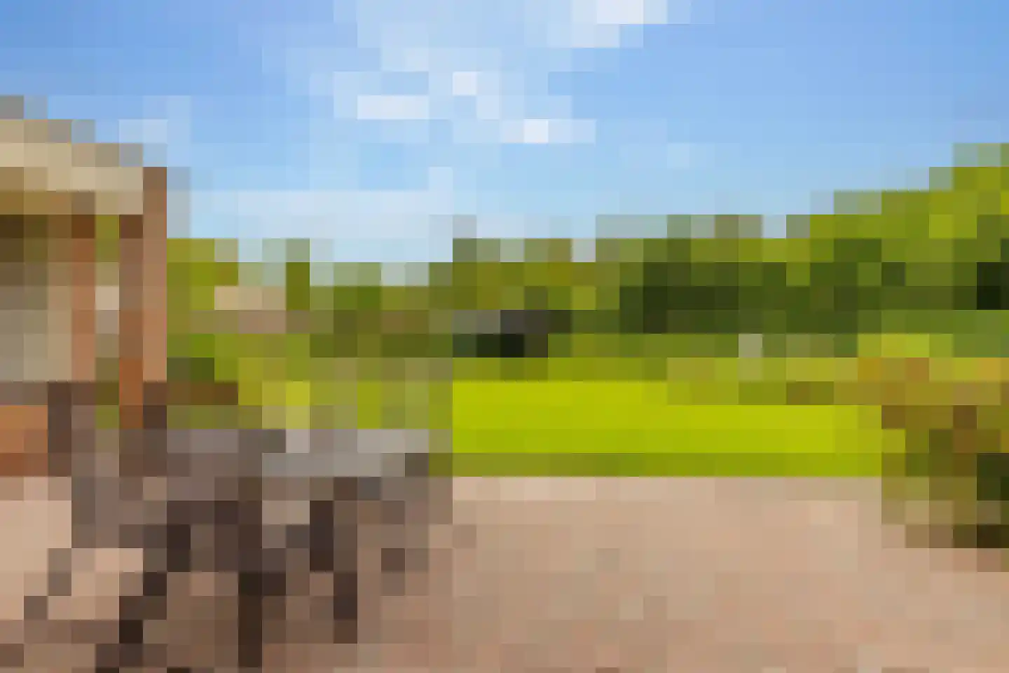 Zwanebloem 16 Hoogeveen thumbnail 41