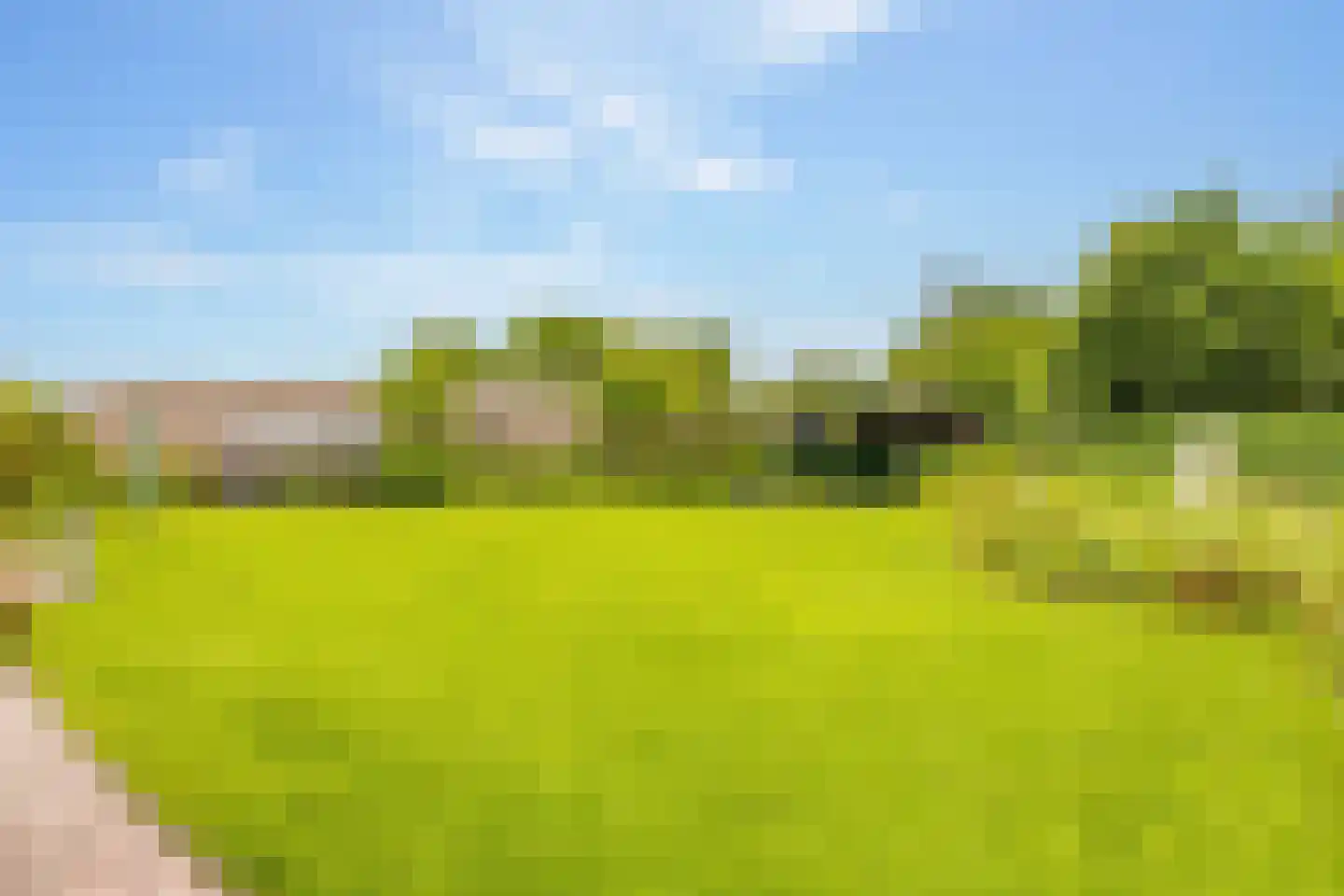 Zwanebloem 16 Hoogeveen thumbnail 42