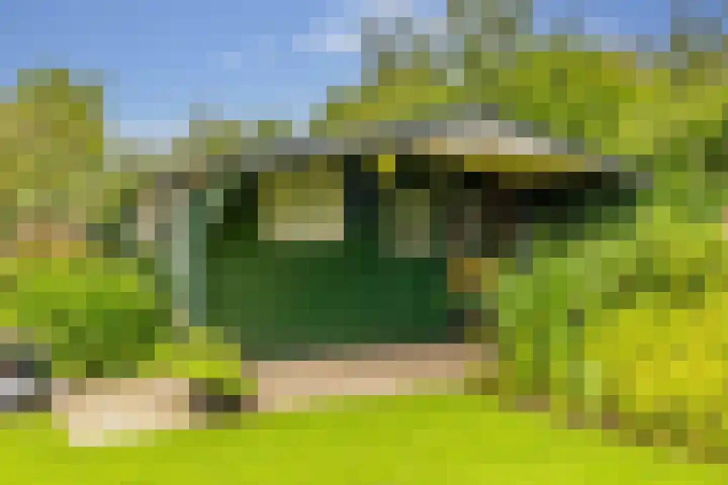 Zwanebloem 16 Hoogeveen thumbnail 43