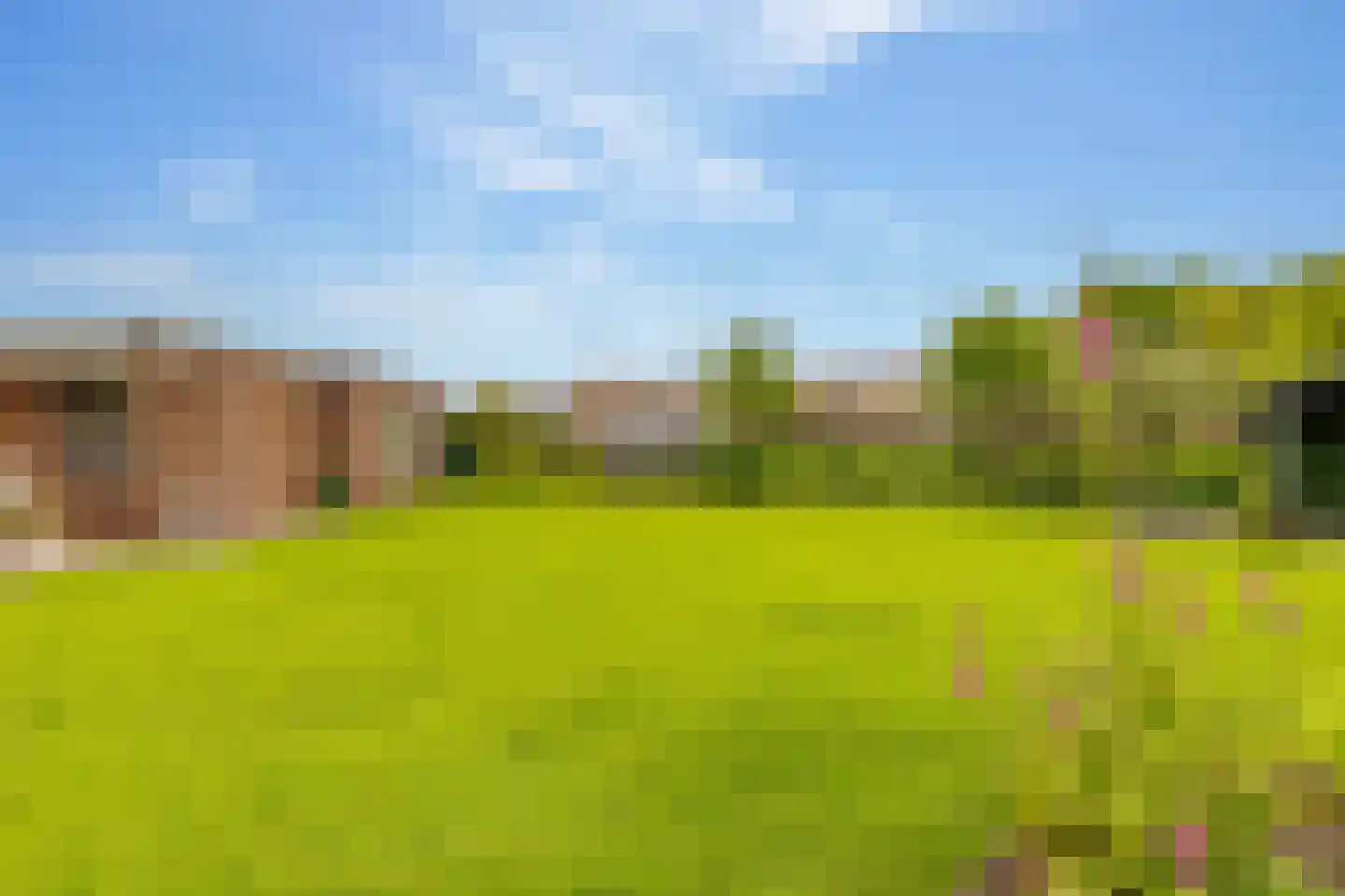 Zwanebloem 16 Hoogeveen thumbnail 44