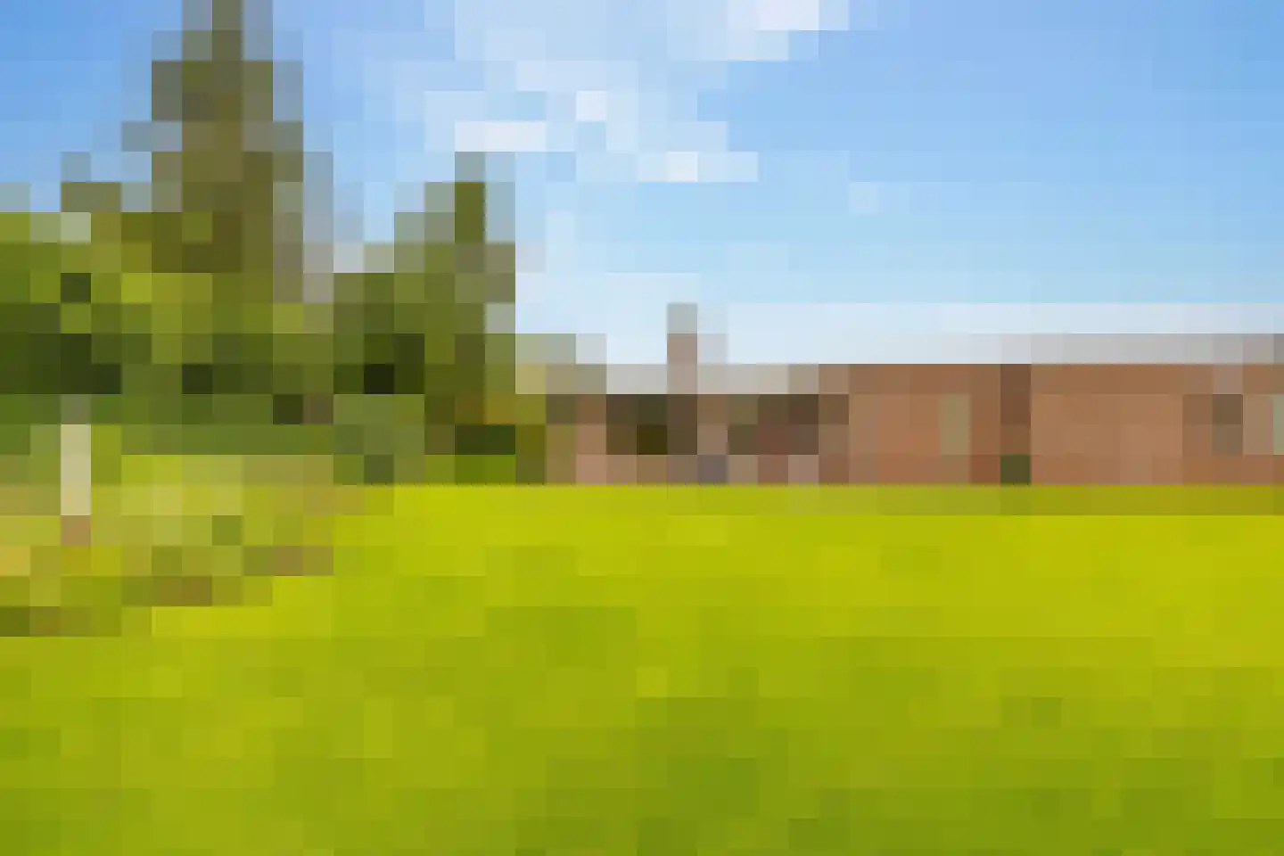 Zwanebloem 16 Hoogeveen thumbnail 45