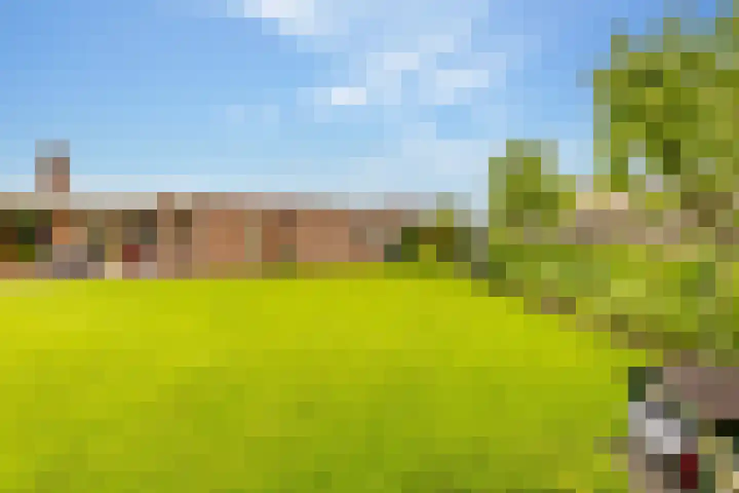 Zwanebloem 16 Hoogeveen thumbnail 46