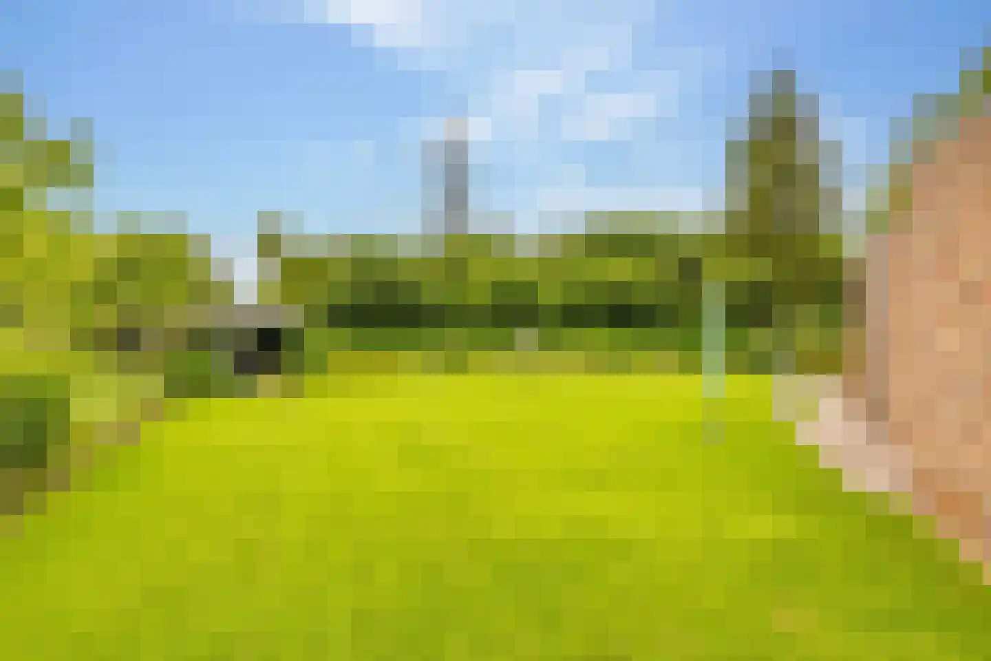 Zwanebloem 16 Hoogeveen thumbnail 47