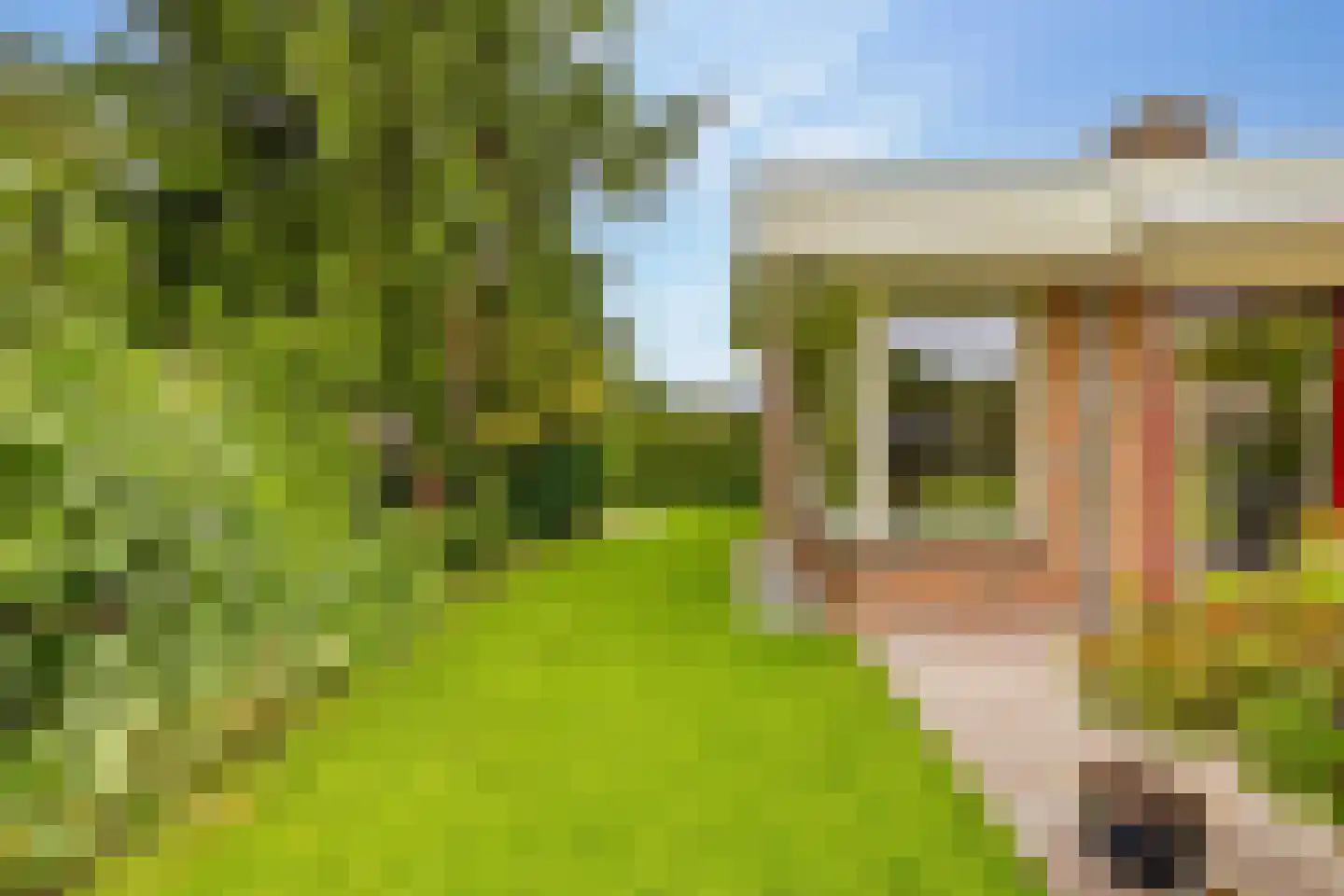 Zwanebloem 16 Hoogeveen thumbnail 48