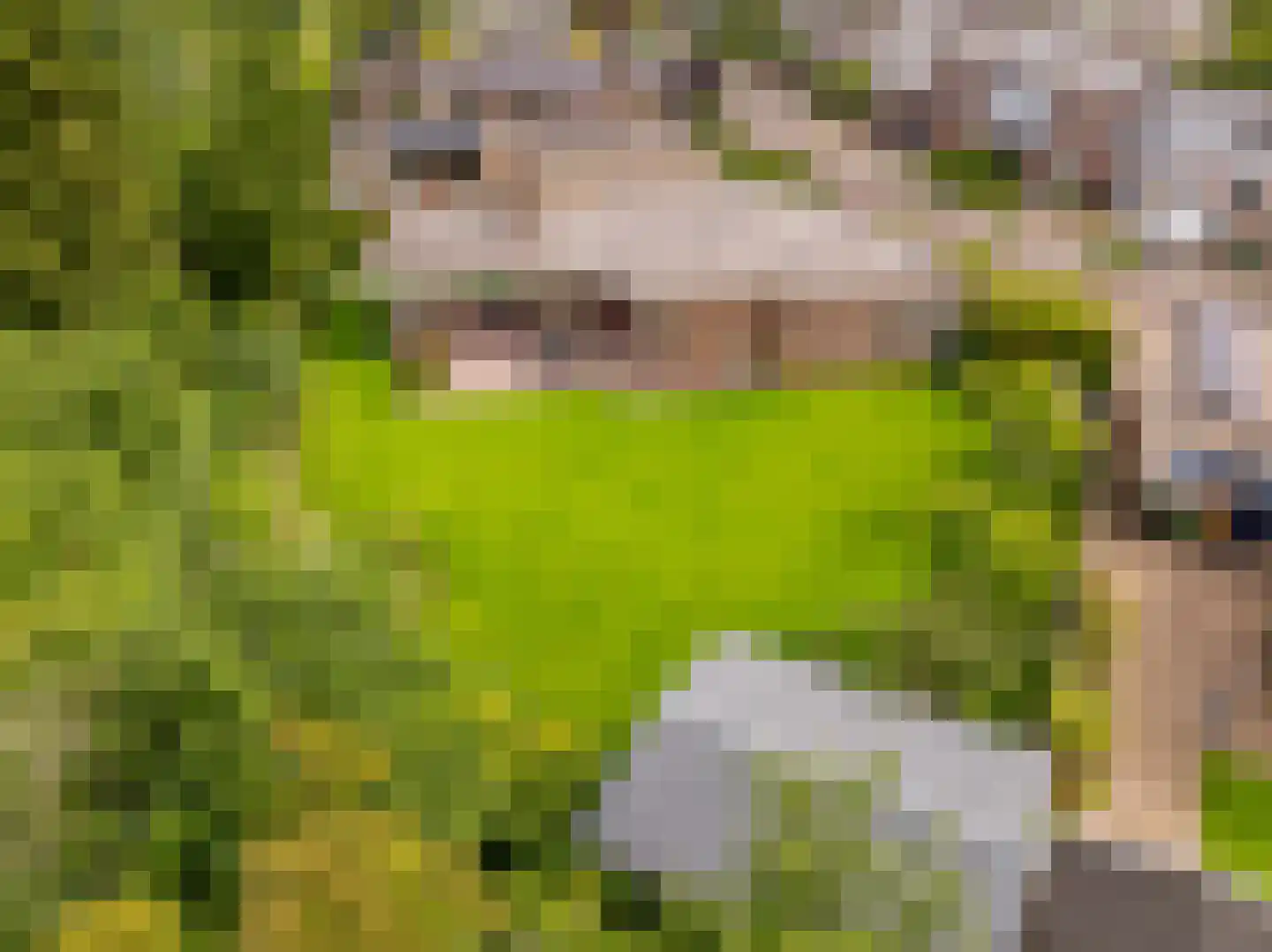 Zwanebloem 16 Hoogeveen thumbnail 5