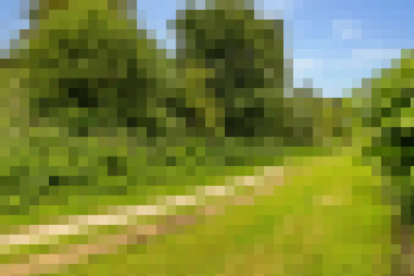 Zwanebloem 16 Hoogeveen thumbnail 50
