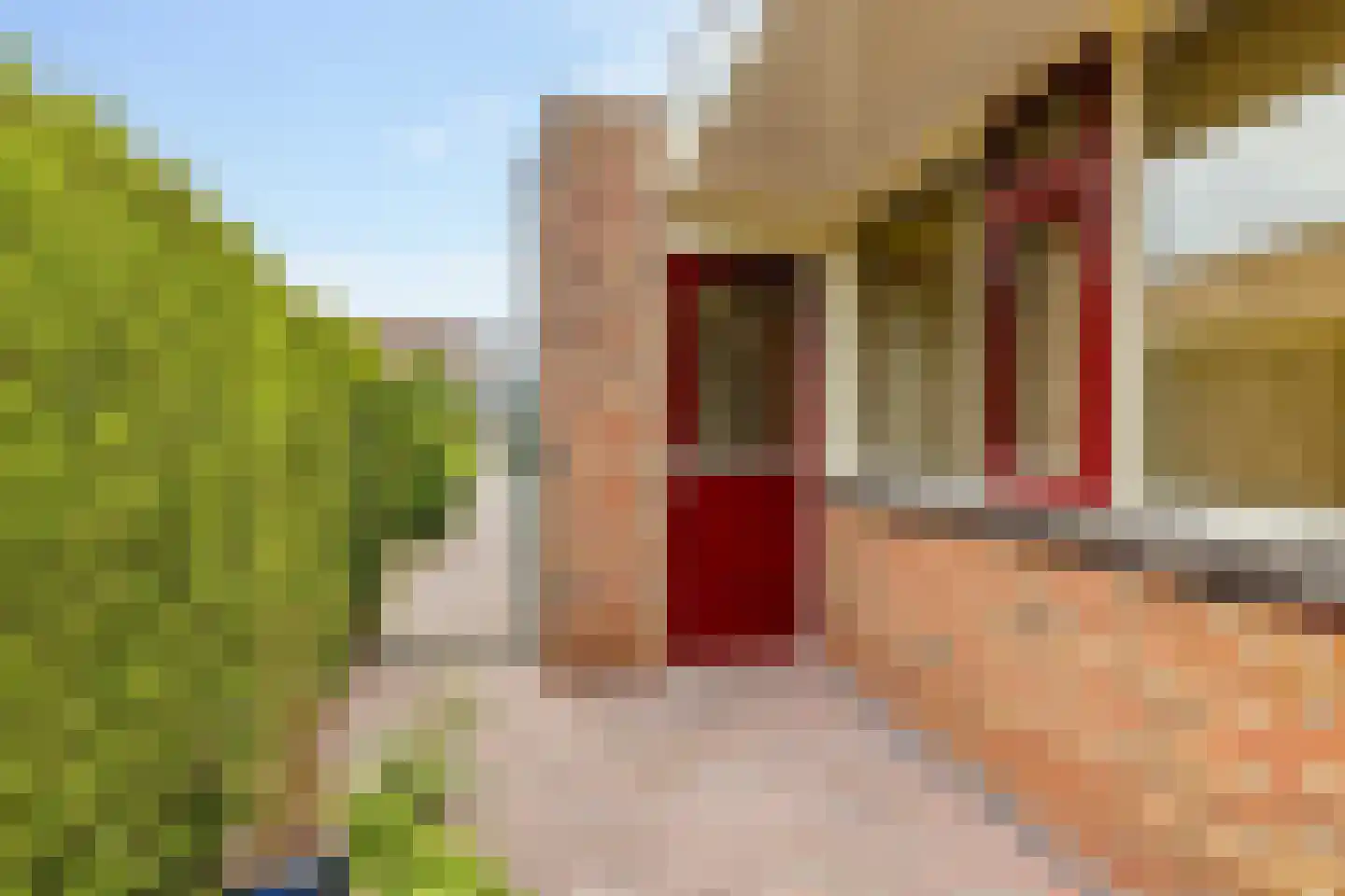 Zwanebloem 16 Hoogeveen thumbnail 51