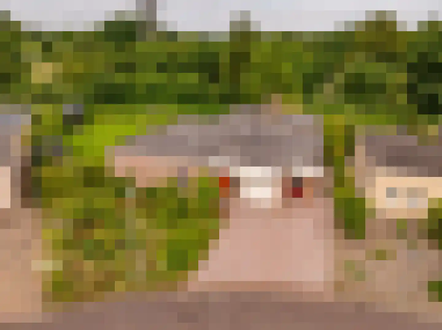 Zwanebloem 16 Hoogeveen thumbnail 52