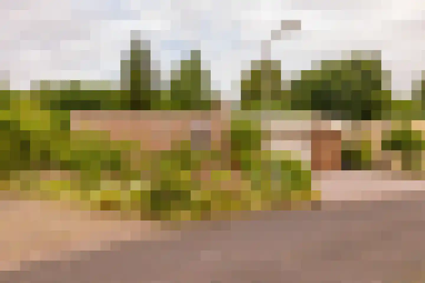 Zwanebloem 16 Hoogeveen thumbnail 54