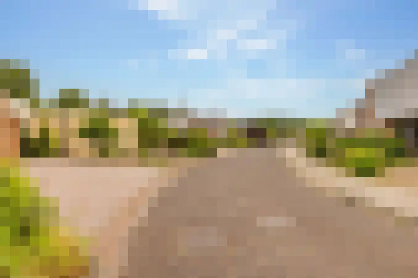 Zwanebloem 16 Hoogeveen thumbnail 56