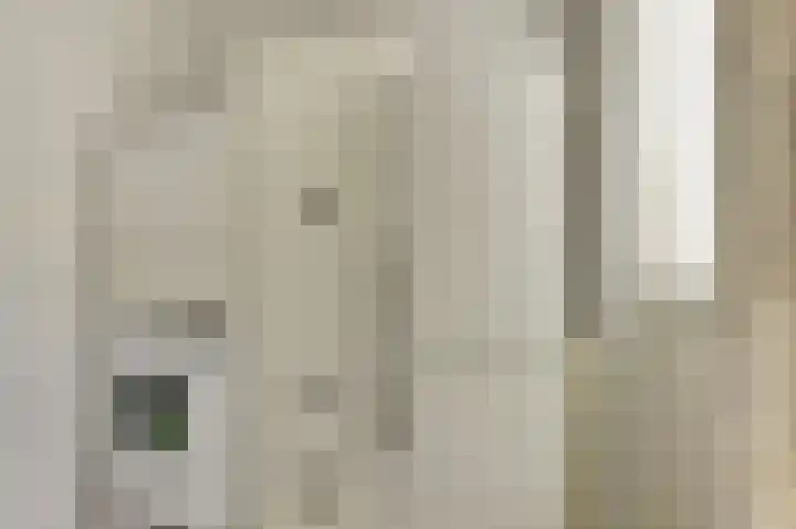 Zwanebloem 16 Tuitjenhorn thumbnail 11