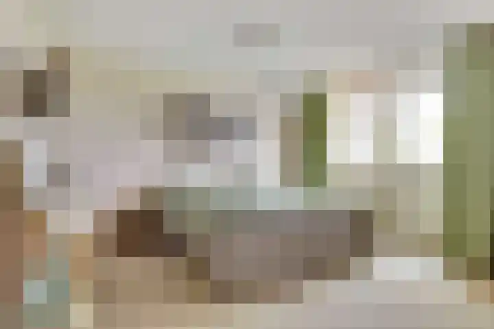 Zwanebloem 16 Tuitjenhorn thumbnail 13