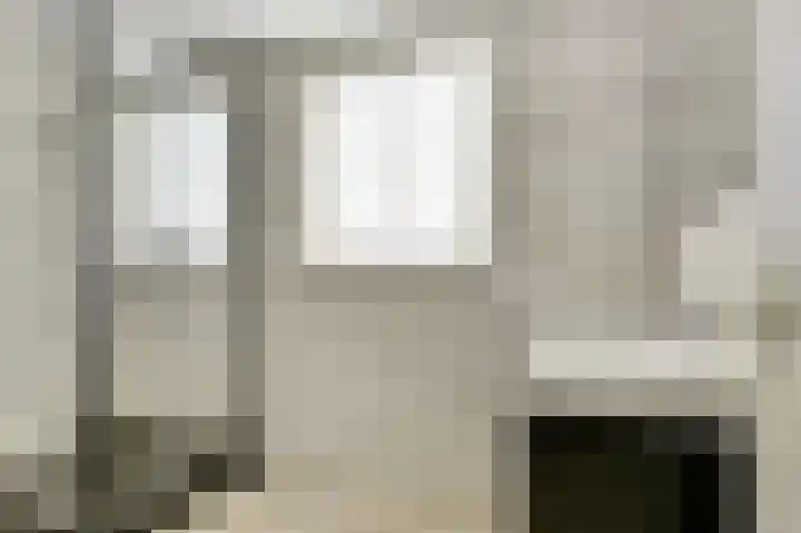 Zwanebloem 16 Tuitjenhorn thumbnail 17