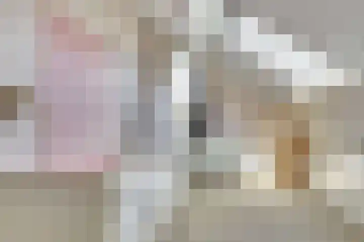 Zwanebloem 16 Tuitjenhorn thumbnail 22