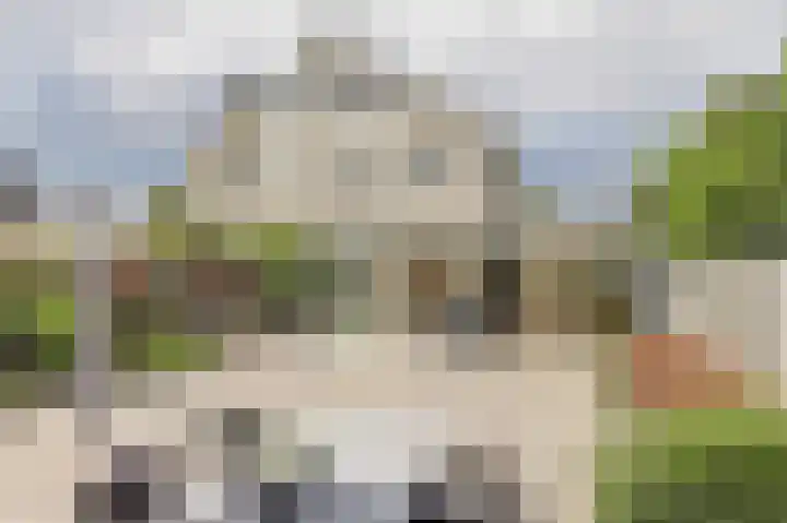 Zwanebloem 16 Tuitjenhorn thumbnail 23