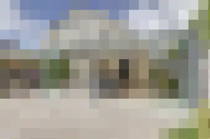 Zwanebloem 16 Tuitjenhorn thumbnail 24