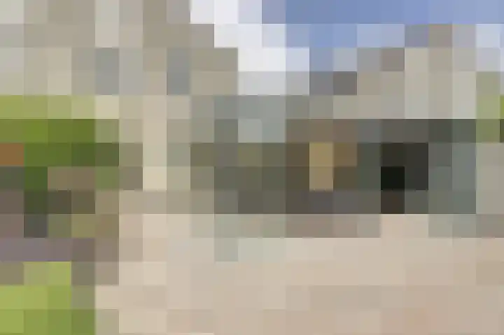 Zwanebloem 16 Tuitjenhorn thumbnail 25
