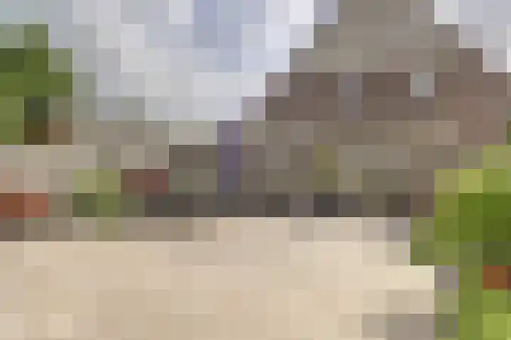 Zwanebloem 16 Tuitjenhorn thumbnail 28
