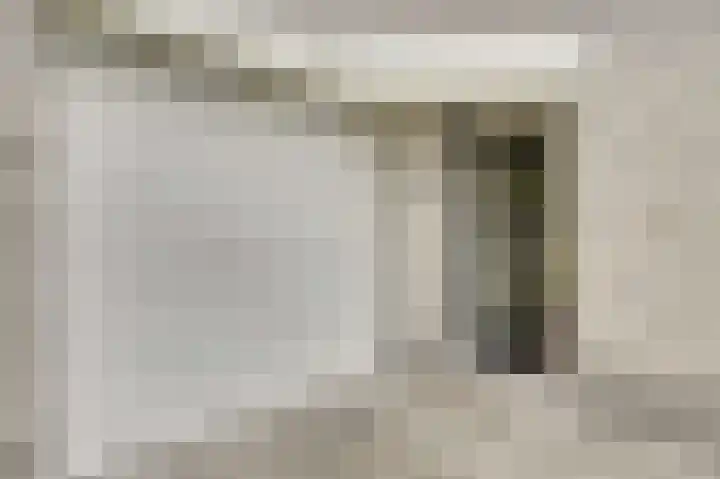 Zwanebloem 16 Tuitjenhorn thumbnail 29