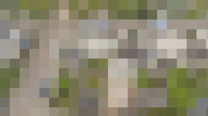 Zwanebloem 16 Tuitjenhorn thumbnail 30