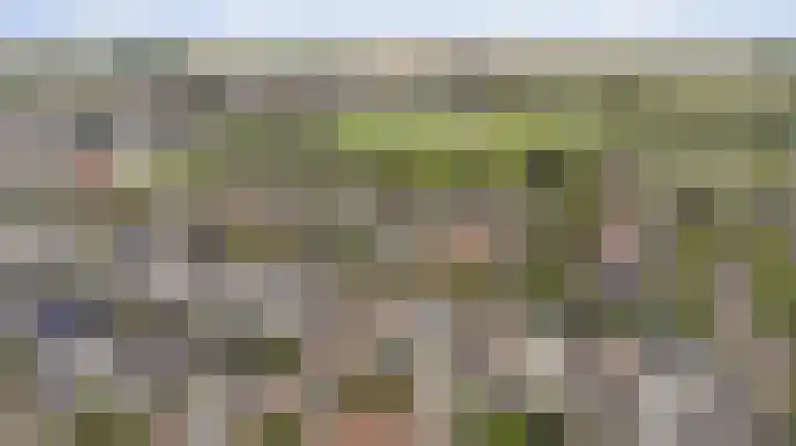 Zwanebloem 16 Tuitjenhorn thumbnail 31