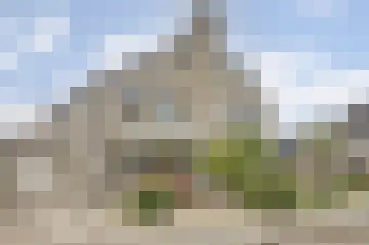 Zwanebloem 16 Tuitjenhorn thumbnail 32