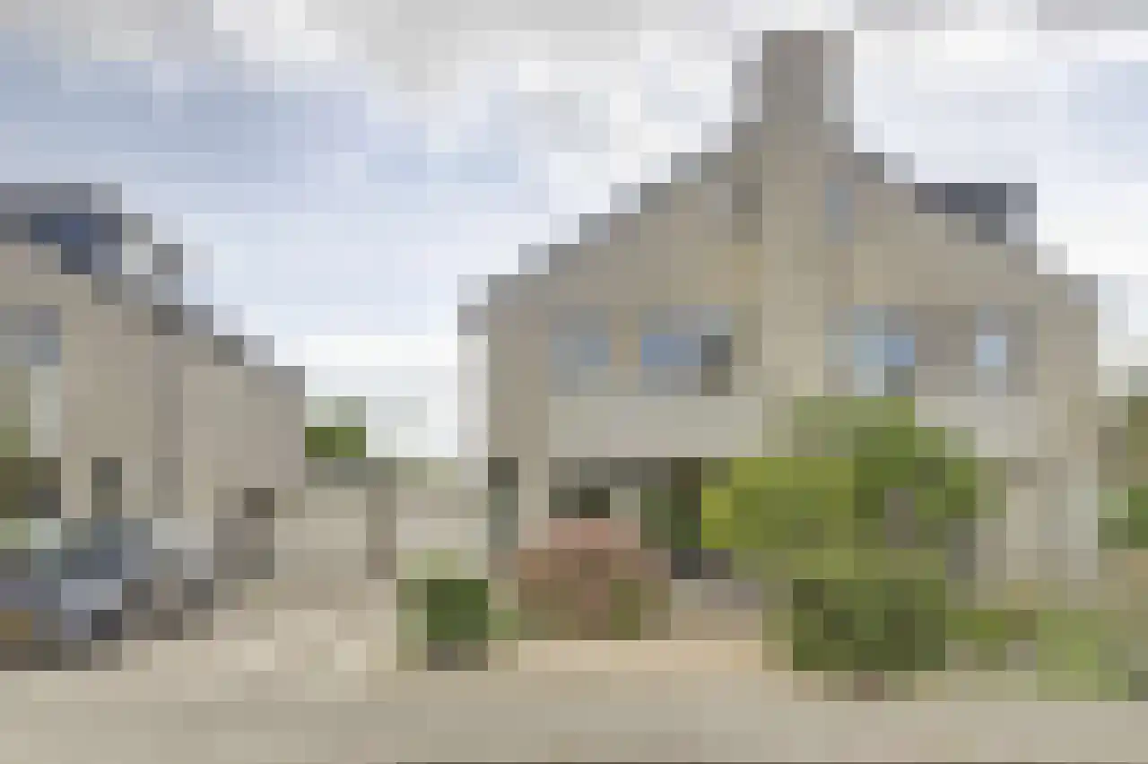 Zwanebloem 16 Tuitjenhorn thumbnail 36