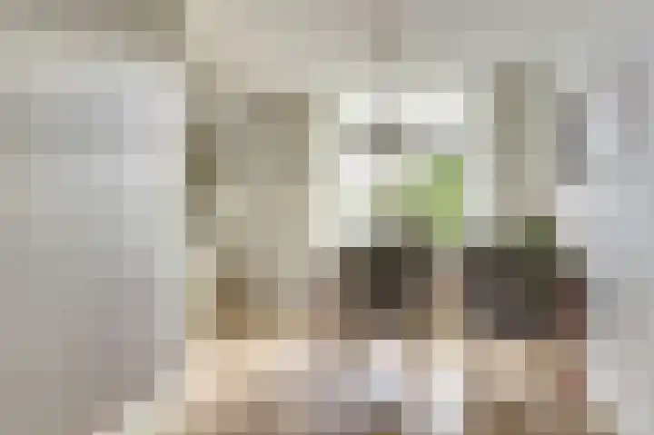 Zwanebloem 16 Tuitjenhorn thumbnail 6