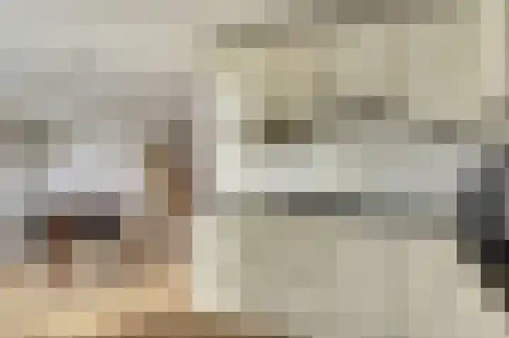Zwanebloem 16 Tuitjenhorn thumbnail 7