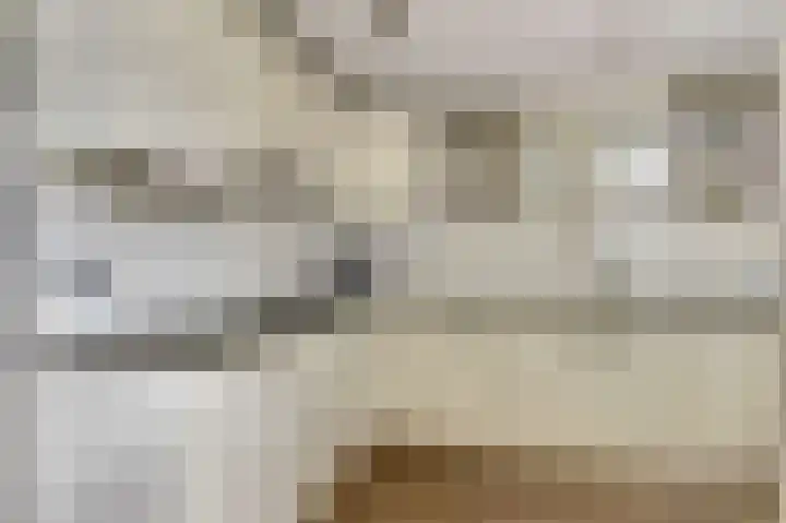Zwanebloem 16 Tuitjenhorn thumbnail 8