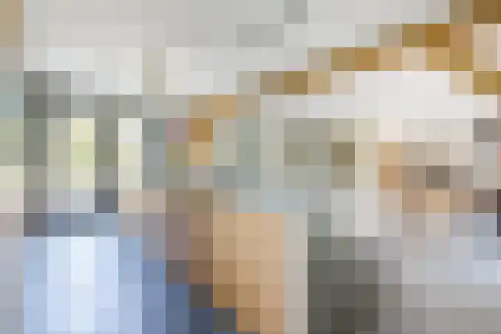 Zwanebloem 18 Oudkarspel thumbnail 10