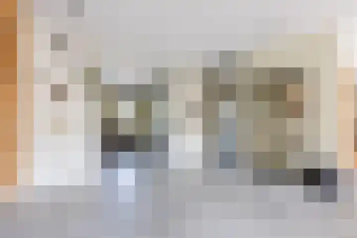Zwanebloem 18 Oudkarspel thumbnail 11