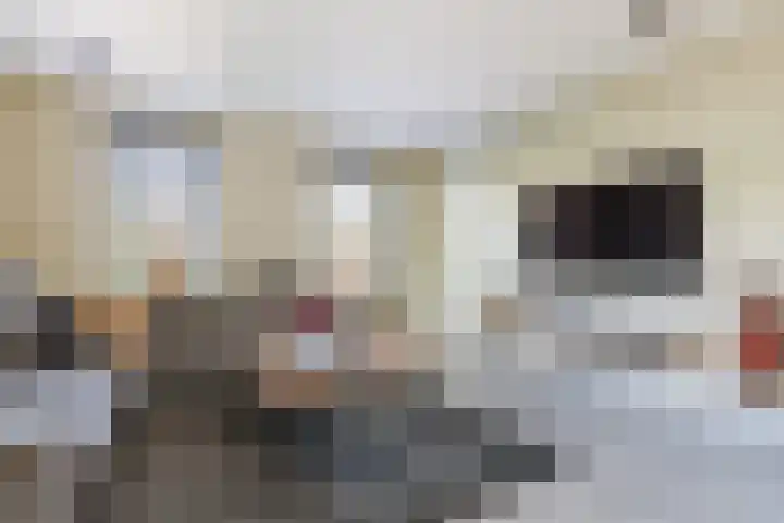Zwanebloem 18 Oudkarspel thumbnail 14