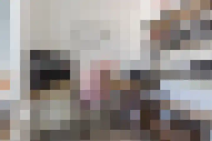Zwanebloem 18 Oudkarspel thumbnail 16
