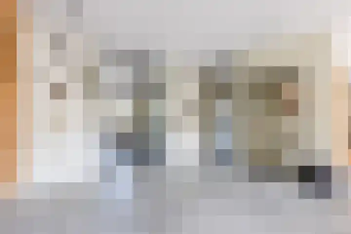 Zwanebloem 18 Oudkarspel thumbnail 17