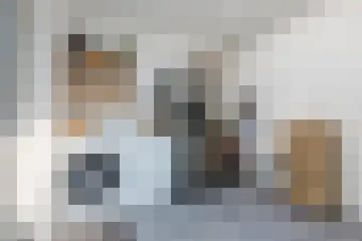 Zwanebloem 18 Oudkarspel thumbnail 23