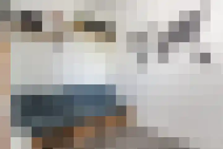 Zwanebloem 18 Oudkarspel thumbnail 24