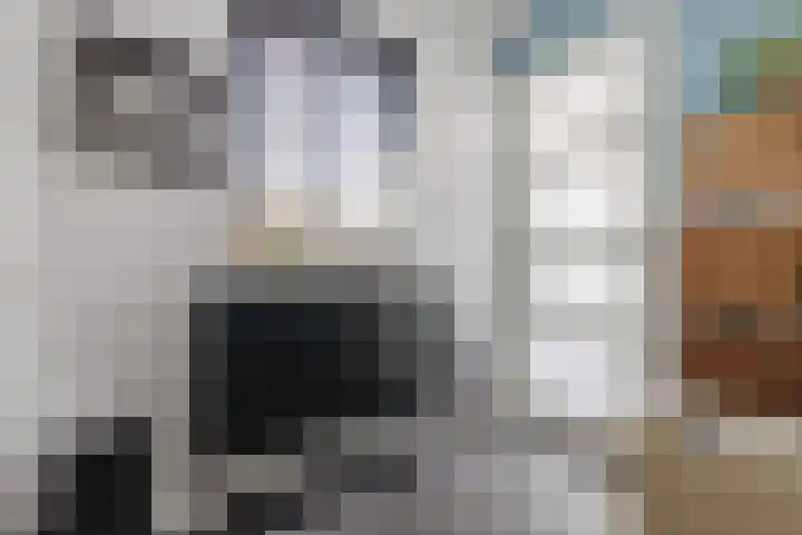 Zwanebloem 18 Oudkarspel thumbnail 26