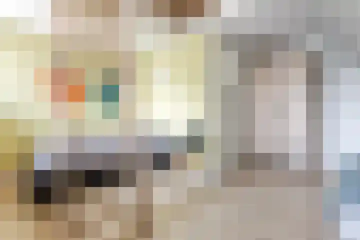 Zwanebloem 18 Oudkarspel thumbnail 34