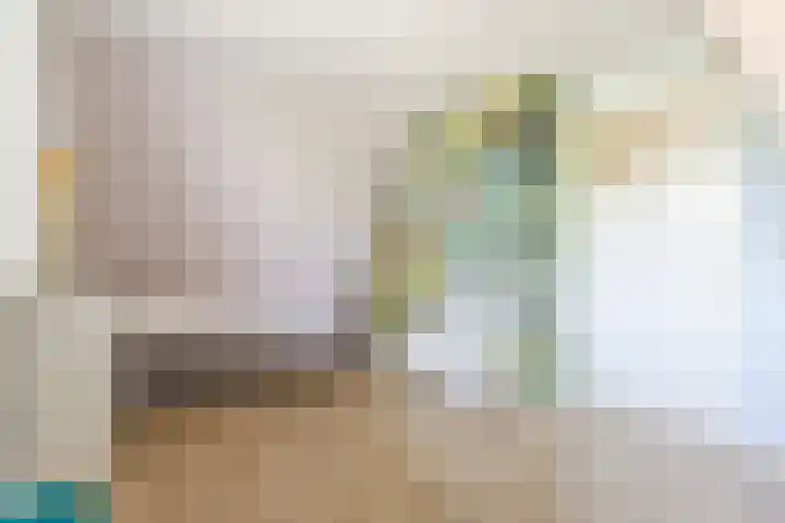 Zwanebloem 18 Oudkarspel thumbnail 39
