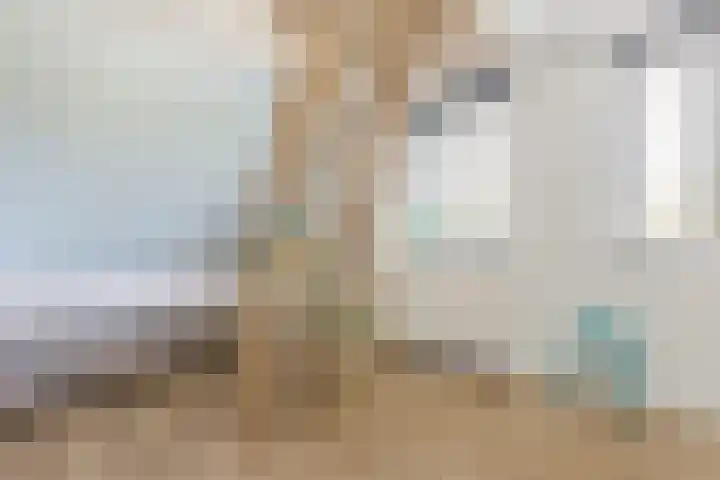 Zwanebloem 18 Oudkarspel thumbnail 45