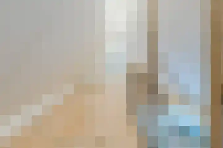Zwanebloem 18 Oudkarspel thumbnail 47