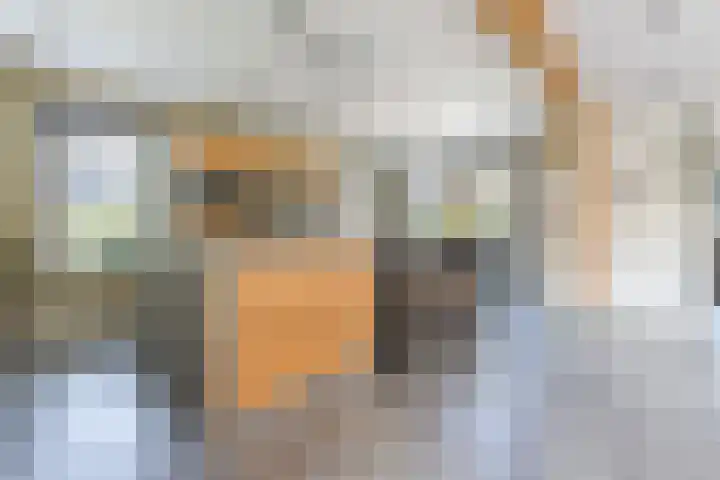 Zwanebloem 18 Oudkarspel thumbnail 5